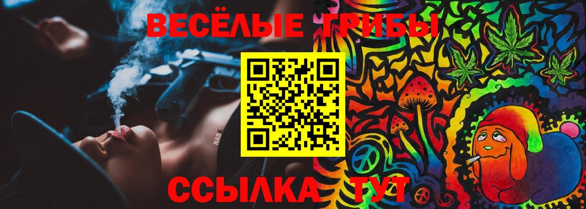 Псилоцибиновые грибы GOLDEN TEACHER Торжок