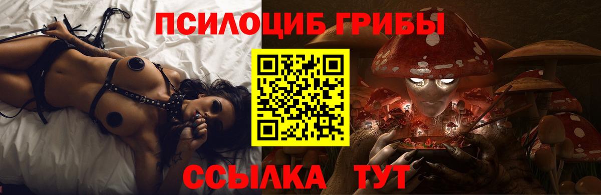 Псилоцибиновые грибы GOLDEN TEACHER  Вход с VPN  Галлюциногенные грибы прущие грибы  закладки  Торжок 